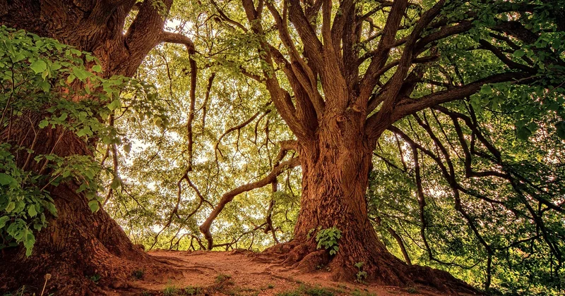 Quelle est la plus belle réserve naturelle du monde ?